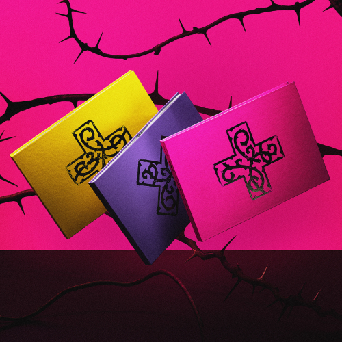 TXT (TOMORROW X TOGETHER) - 7TH YEAR: A Moment of Stillness in the Thorns